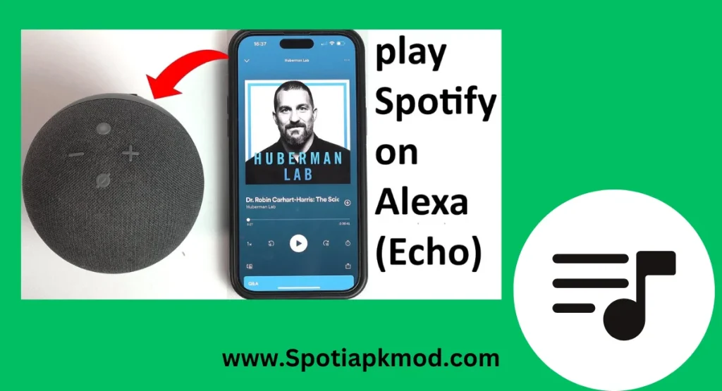 spotify alexa screen shot