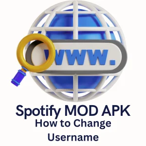 Spotify MOD APK change user name 2